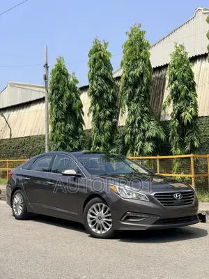 Hyundai Sonata 2015 Brown