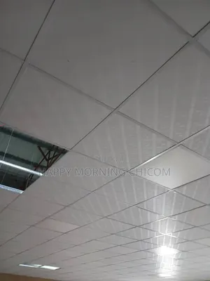 Suspended Ceiling by Carton and Accessories