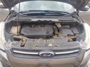 Ford Escape 2013 Gray