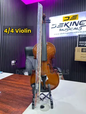 4/4 Acoustic Violin Set
