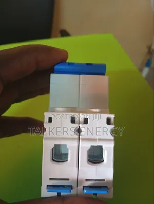 Chint Ac Breaker 63a