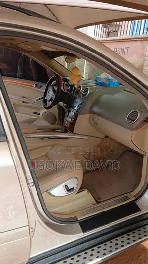Mercedes-Benz M Class 2010 Silver