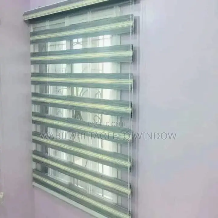 Day and Night Window Blinds