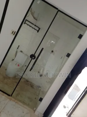 10mm Tempered Glass Door