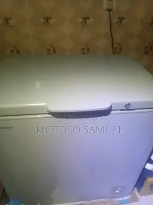 Hisense 250 Litre Freezer