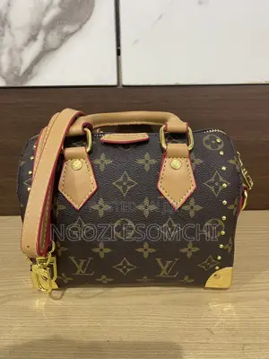 Louis Vuiton Handbag