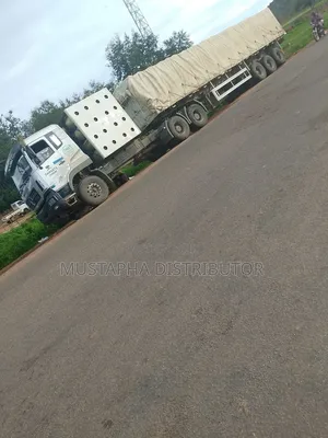 Dangote Cement and Bua Cement