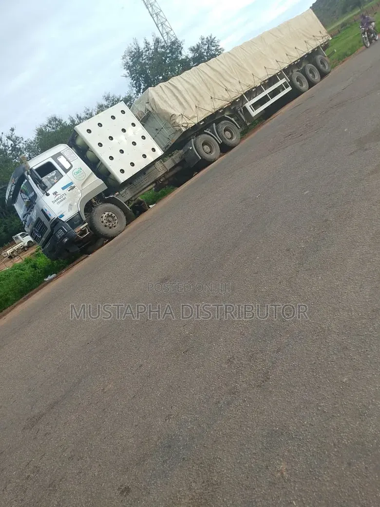 Dangote Cement and Bua Cement