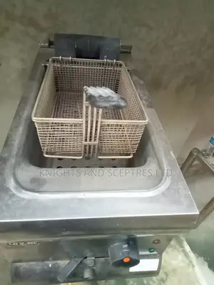 Commercial Deep Fryer