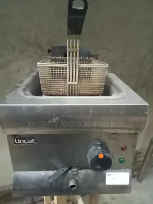 Commercial Deep Fryer