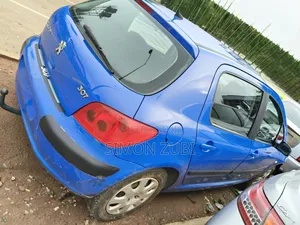Peugeot 307 2007 Blue