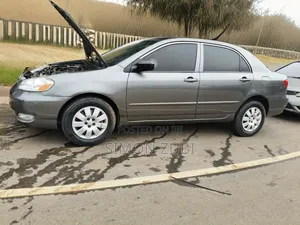 Toyota Corolla 2007 Gray