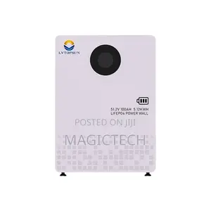 Lvtopsun 5kwh/24v Lithium Battery