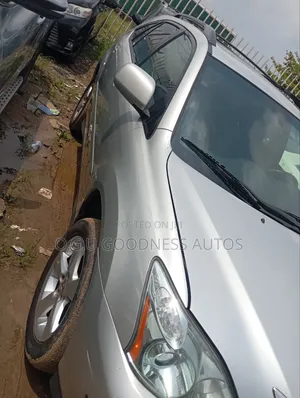Lexus RX 2007 Silver