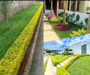 Flower/ Landscape