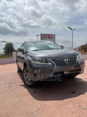 Lexus RX 2014 Gray