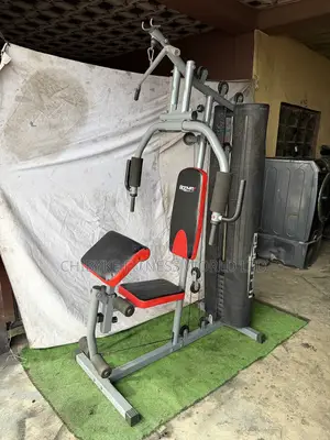 Bodyfit Multi - Station Gym
