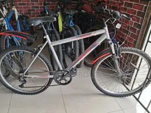 Size 26 Gray Indi Adult Bicycle
