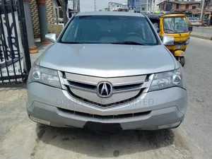 Acura MDX 2009 Gray