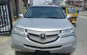 Acura MDX 2009 Silver