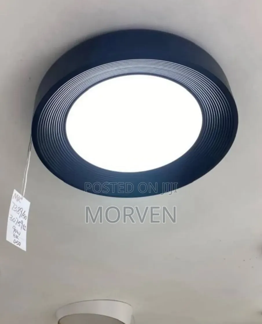 Ceiling Light