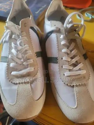 Size 44 Lacoste