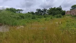 Affordable Plot of Land Available Now