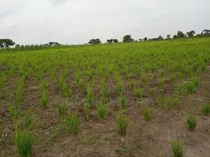 32 Plots Of Land For Sale At Reke, Asa Lga, Ilorin