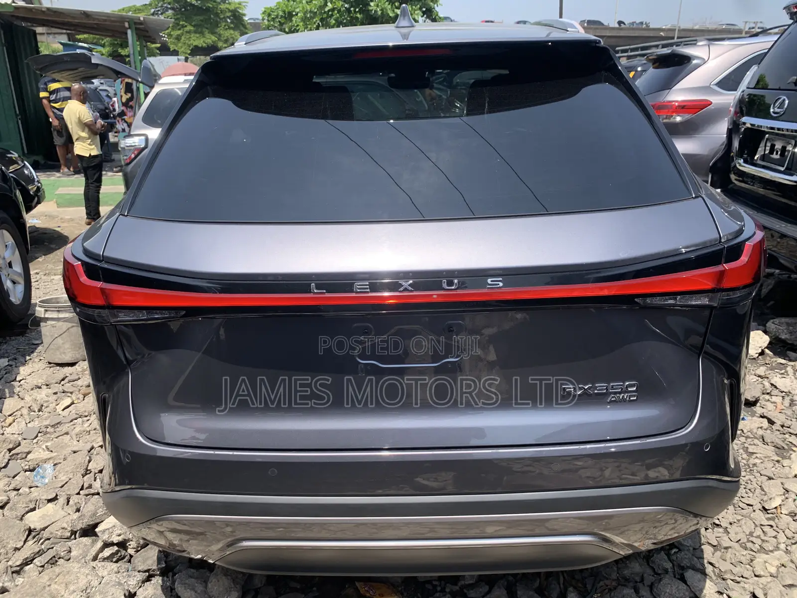 Lexus RX 2024 Gray