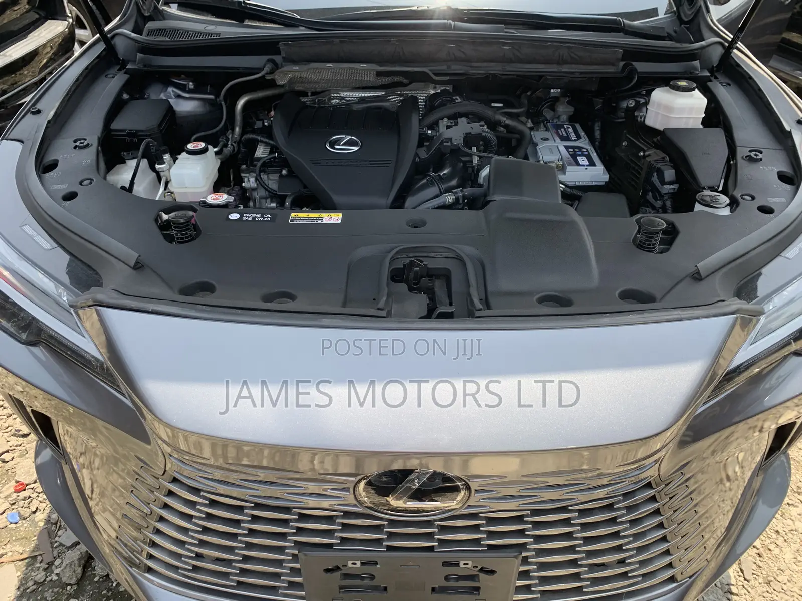 Lexus RX 2024 Gray
