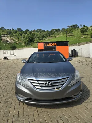 Hyundai Sonata 2013 Gray