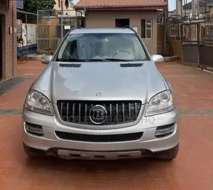 Mercedes-Benz M Class ML 350 4Matic 2007 Silver