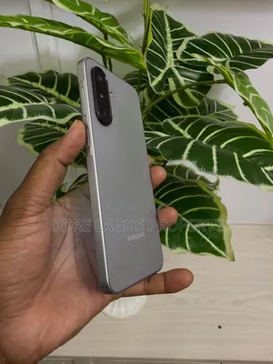 Samsung Galaxy A17 128 GB Gray