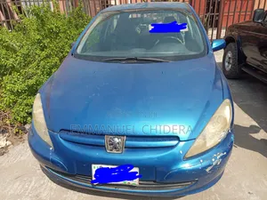 Peugeot 307 2005 Blue