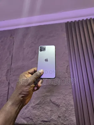 Apple iPhone 11 Pro Max 256 GB Gray