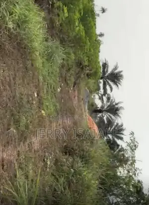 100by100ft at Umegbe Community Airport Road.Just 400ft From the Road
