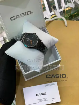 Casio Sleek Chic Analog Stainless Steel Watch for Ladies