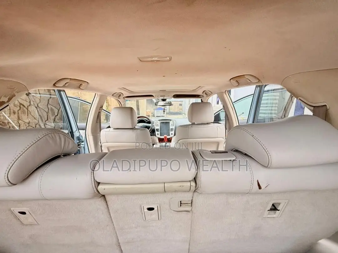 Lexus RX 2008 Blue