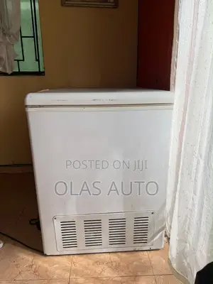 Deep Freezer 325l