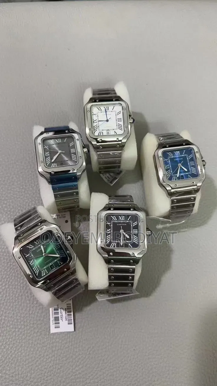 Santos De Cartier, Large Model