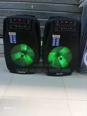 Alilpu Party Speaker With Two Wireless Microphone Speakers Sp- 3510d