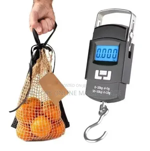50kg Electronic Weighing Crane Scale,Industrial Heavy Duty Hang Scale