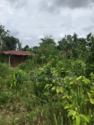 300 Plots/Farm Land/for Sale/Ikere Ekiti/Off Akure Road/Deed+Receipt.