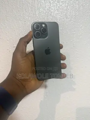 Apple iPhone 15 Pro Max 256 GB Gray