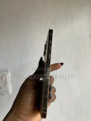 Apple iPhone 12 Pro Max 256 GB