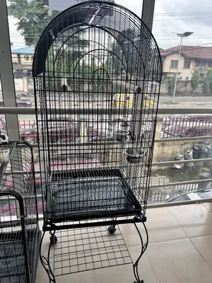 Big Parrot Cage