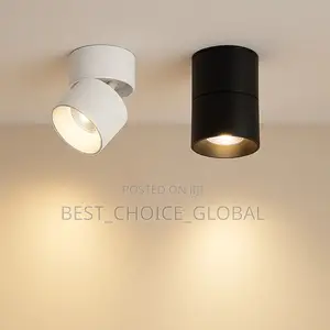 Bestchoice Ceiling Surface Light