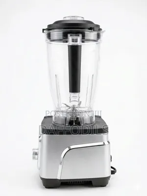 Daffodils 3000w Heavy Duty Blender