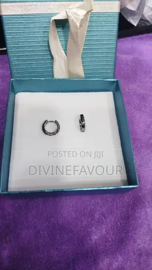 Male Earrings