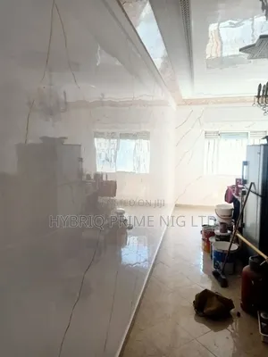 Professional Stucco Paint Applicators in Ibadan